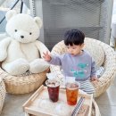 바니베어뮤지엄 이미지