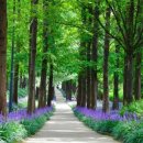 승지공인중개사사무소 이미지