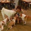 엉알게스트하우스 이미지