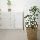 심리상담센터 진담소 이미지