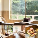 주식회사 덴바스타포레스트호텔 | 아기랑 호캉스 부산 만덕 덴바스타 포레스트 료칸