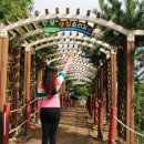 신광민박 | [공지] 충남 홍성 남당항 죽도 여행 가이드｜남당항 배편 시간·요금·트레킹 꿀팁 총정리