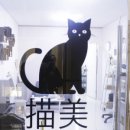 고양이 무마취 미용전문 이미지