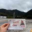 신비카 | 강원도 정선 가볼만한 곳 : 가리왕산 케이블카 / 비오는 날 후기