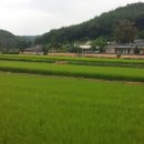 봉화여관 이미지