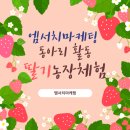 찬성농장 네이버블로그