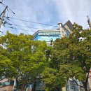 버드소리 대구수성점 | 대구 아이와 실내 가볼만한곳 수성구 버드소리 앵무새카페 어린이체험