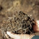 장안균농장 이미지