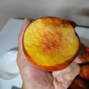 스위트퀸 Daum카페