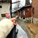 노포 더 시지 이미지