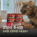 주식 | 고양이 습식 사료, 육즙가득 오리젠 주식캔 급여 후기