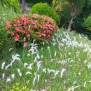 안락2동-5 이미지