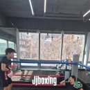 JJ복싱 이미지