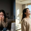 한장한코 티스토리