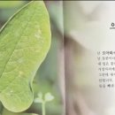 감정코칭심리상담사 이미지