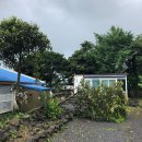 보리쌀롱 이미지