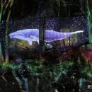 숲속에서 펼쳐지는 빛과 음악 쇼, 원주 오크밸리 ‘소나타오브라이트’ 이미지