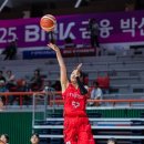 레드웨이브 이미지