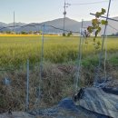 대각정비 이미지