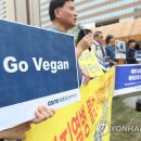 이강인농장 이미지