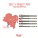 오행약손