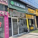 저스트병원 | [인천/미추홀] 샐러리아 저스트병원점 내돈내산 리뷰, 생연어포케, 시그니처소스, 힐링티