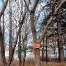 함현공원 작은도서관 이미지