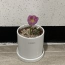 용현행복한안경 | 예쁘다, 좋다, 행복하다