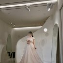 쥬빌로 - 의정부시 시민로121번길 28 | [결혼준비5/쥬빌리 브라이드/촬영드레스 셀렉/촬드/풍성+도비실크+유색/5.12]