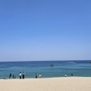 강릉애견하우스 이미지