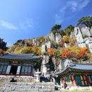 화순초등학교이서분교장 이미지