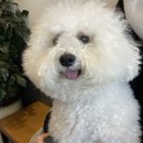 동물에 반하다 동물병원 이미지