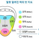 건지솔루션 이미지