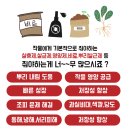 영덕싱싱농원 | 신통방통농법 대박 농사 실제 사례 모음