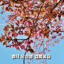 삼사해상공원내 이미지