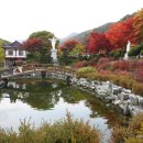 배론성지 이미지