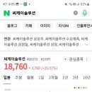 씨케이닭