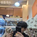 펫 중개소 이미지