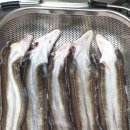 풍천장어 이미지