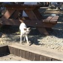 두울마트 이미지