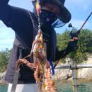 나라3호 이미지