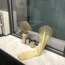 꽃보다이비인후과의원 이미지