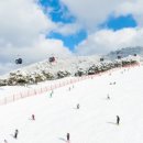 소노벨비발디파크 이미지