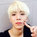김영균 Daum카페