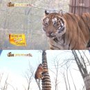 상석농장 이미지