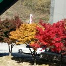 대술면주민자치센터 이미지