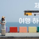 제주 배 모든 노선 정리 2024년 판 이미지