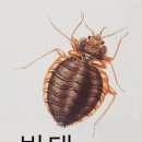 양·한방 전문 힘찬동물병원 이미지