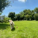 형제농장 이미지