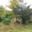 동태백로 이미지